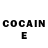 COCAIN Fish Scale Fox Cof