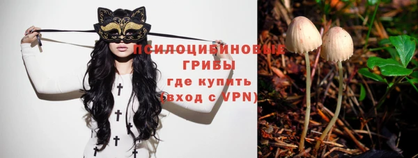 хмурый Бородино