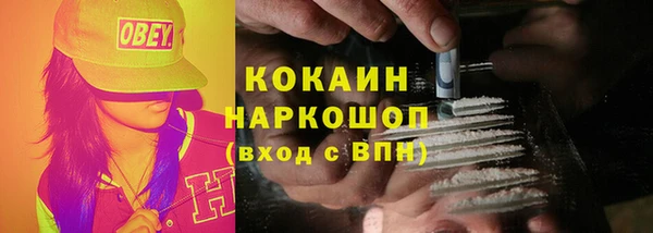соль ск Рославль