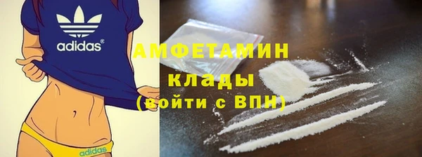 ГАЛЛЮЦИНОГЕННЫЕ ГРИБЫ Белокуриха