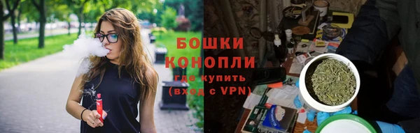 хмурый Бородино