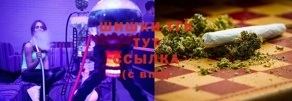 хмурый Бородино