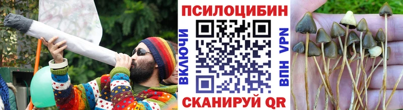 Галлюциногенные грибы прущие грибы  Чудово 